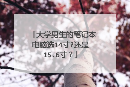 大学男生的笔记本电脑选14寸?还是15.6寸？