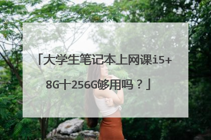 大学生笔记本上网课i5+8G十256G够用吗？