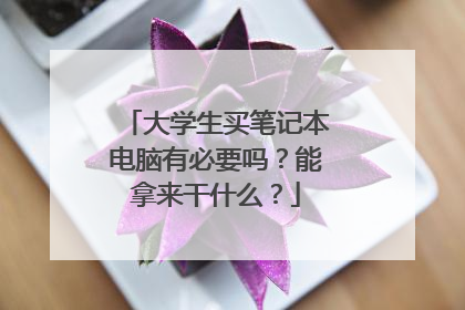 大学生买笔记本电脑有必要吗?能拿来干什么?