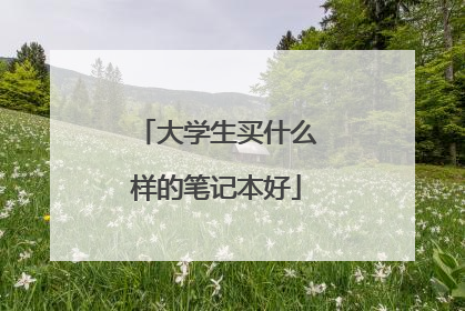 大学生买什么样的笔记本好