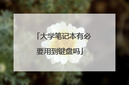 大学笔记本有必要用到键盘吗