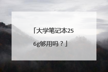 大学笔记本256g够用吗?