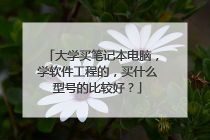 大学买笔记本电脑,学软件工程的,买什么型号的比较好?