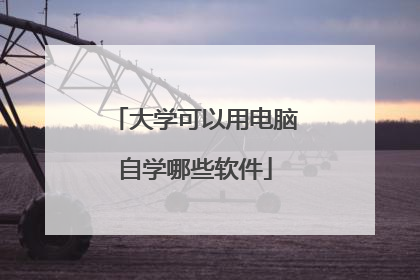 大学可以用电脑自学哪些软件