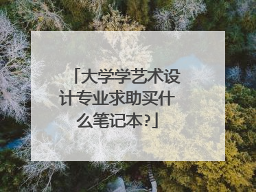 大学学艺术设计专业求助买什么笔记本?