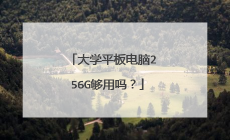 大学平板电脑256G够用吗?