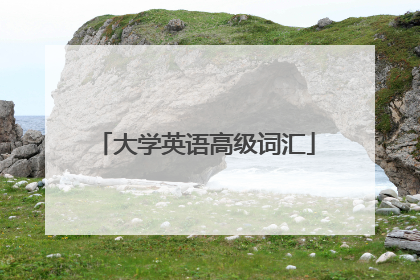 大学英语高级词汇