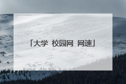 大学 校园网 网速