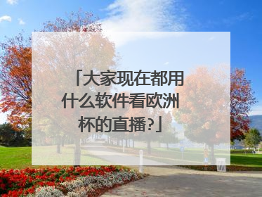 大家现在都用什么软件看欧洲杯的直播?