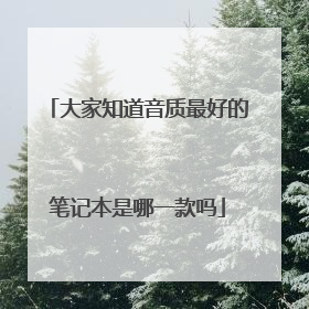 大家知道音质最好的笔记本是哪一款吗