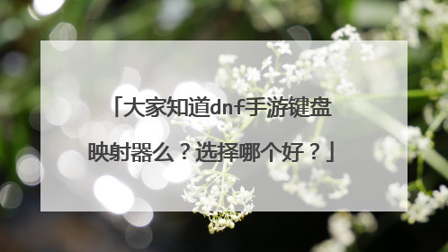大家知道dnf手游键盘映射器么？选择哪个好？