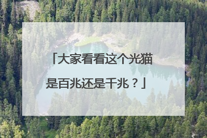 大家看看这个光猫是百兆还是千兆?
