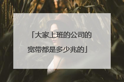 大家上班的公司的宽带都是多少兆的