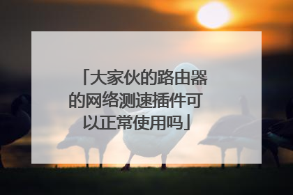 大家伙的路由器的网络测速插件可以正常使用吗