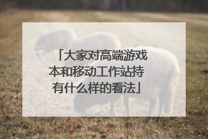 大家对高端游戏本和移动工作站持有什么样的看法