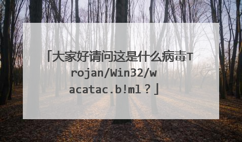 大家好请问这是什么病毒Trojan/Win32/wacatac.b!ml?