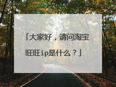 大家好,请问淘宝旺旺ip是什么?