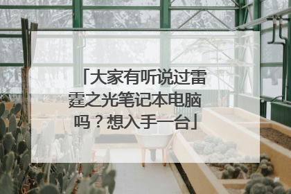 大家有听说过雷霆之光笔记本电脑吗?想入手一台