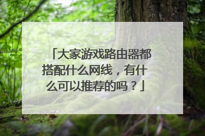 大家游戏路由器都搭配什么网线,有什么可以推荐的吗?