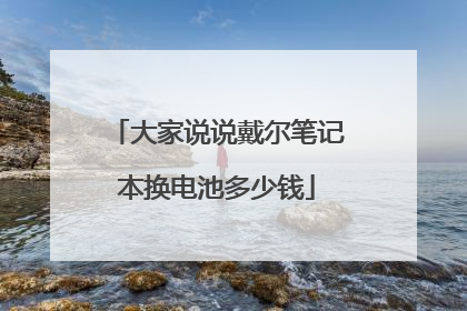 大家说说戴尔笔记本换电池多少钱