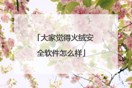 大家觉得火绒安全软件怎么样