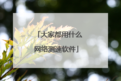 大家都用什么网络测速软件