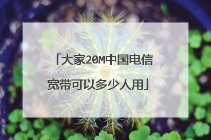 大家20M中国电信宽带可以多少人用