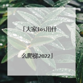 大家ios用什么爬梯2022