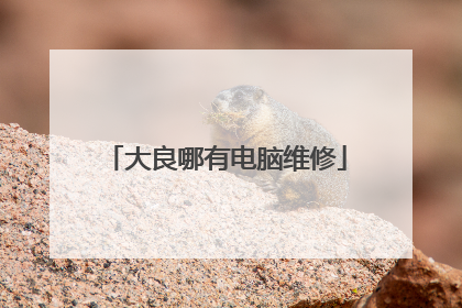 大良哪有电脑维修