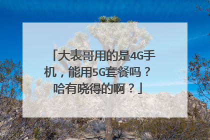 大表哥用的是4G手机,能用5G套餐吗?哈有晓得的啊?