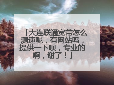 大连联通宽带怎么测速呢,有网站吗,提供一下呗,专业的啊,谢了!