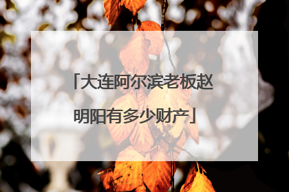 大连阿尔滨老板赵明阳有多少财产