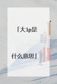 大ip是什么意思