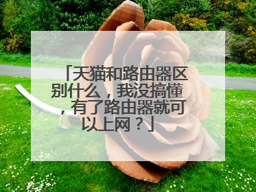 天猫和路由器区别什么，我没搞懂，有了路由器就可以上网？