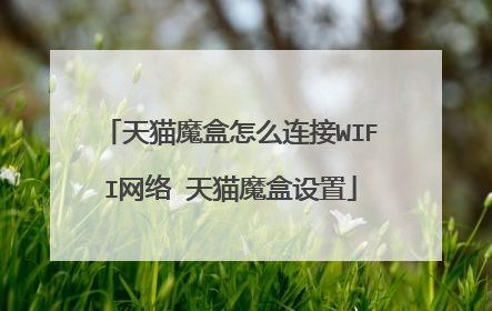 天猫魔盒怎么连接WIFI网络 天猫魔盒设置