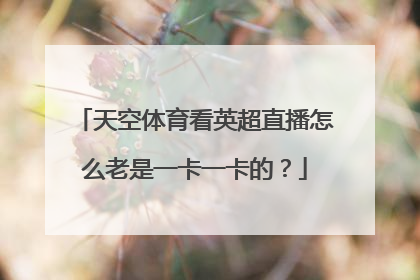 天空体育看英超直播怎么老是一卡一卡的？