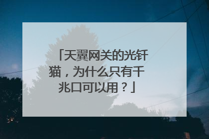 天翼网关的光钎猫,为什么只有千兆口可以用?
