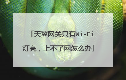 天翼网关只有Wi-Fi灯亮，上不了网怎么办