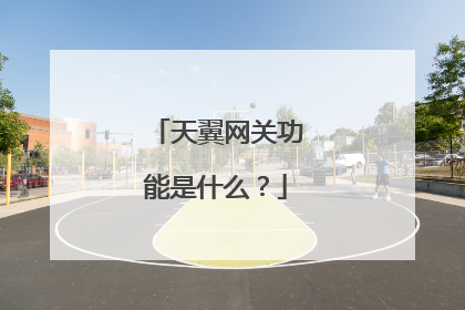 天翼网关功能是什么?