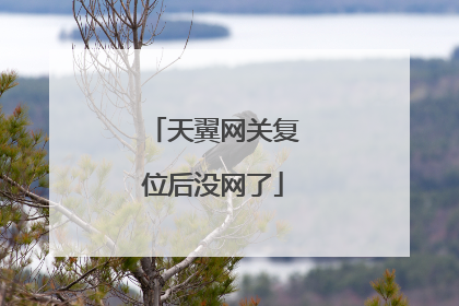 天翼网关复位后没网了
