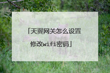 天翼网关怎么设置修改wifi密码
