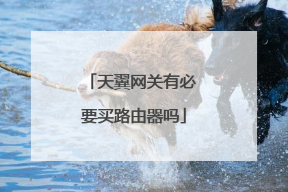 天翼网关有必要买路由器吗