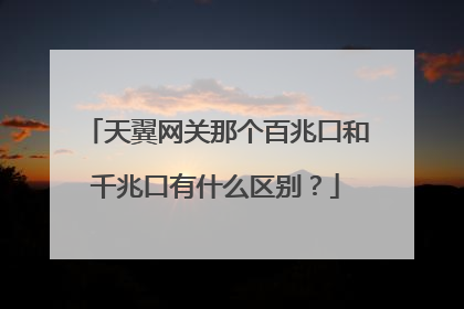 天翼网关那个百兆口和千兆口有什么区别?
