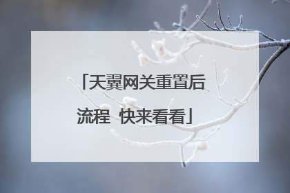 天翼网关重置后流程 快来看看