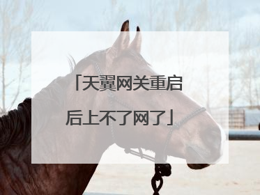 天翼网关重启后上不了网了