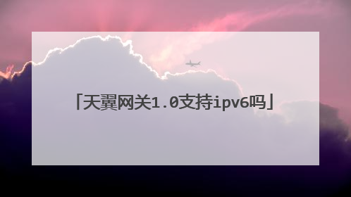 天翼网关1.0支持ipv6吗