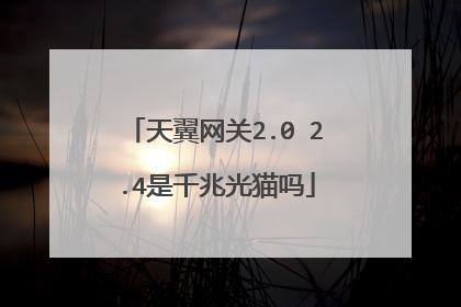 天翼网关2.0 2.4是千兆光猫吗