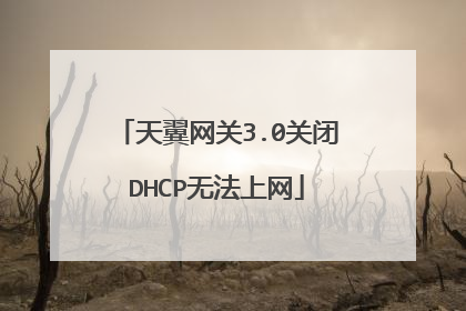 天翼网关3.0关闭DHCP无法上网
