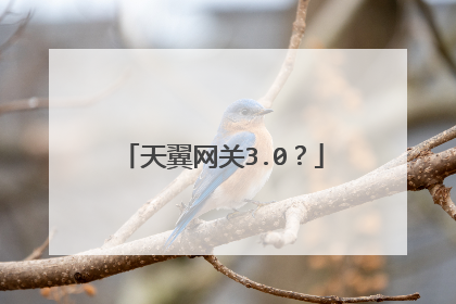 天翼网关3.0？