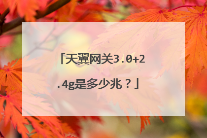 天翼网关3.0+2.4g是多少兆?